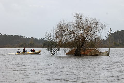 Elementos da proteção civil transportam agricultores de barco nos campos e instalações agrícolas inundadas pela água do Mondego devido ao rebentamento do dique em Coimbra