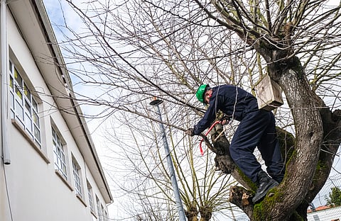 Fuzileiros ajudam na reparação