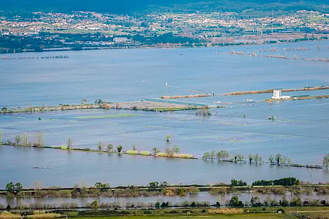 Cheias deixam CAR de Montemor-o-Velho impraticável e obrigam remo e canoagem a sair da pista