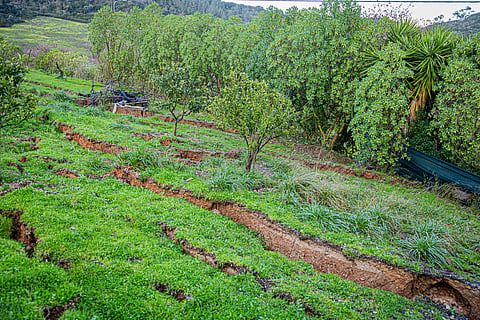 O Governo estima em cerca de 500 milhões de euros os prejuízos na agricultura, a que se somam mais de 275 milhões de euros no setor florestal.