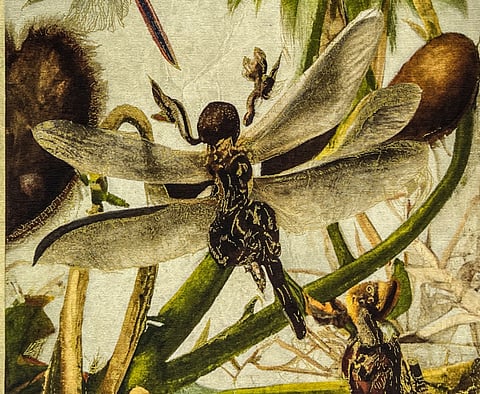 Mostra fica em cartaz até final de março.