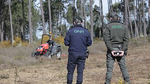 Governo quer reclusos a limpar matas e florestas para prevenir fogos