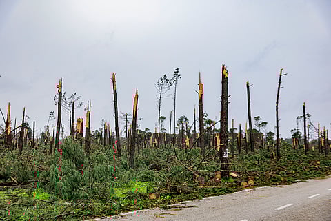 Meo vai creditar os clientes impactados pelos dias sem serviços