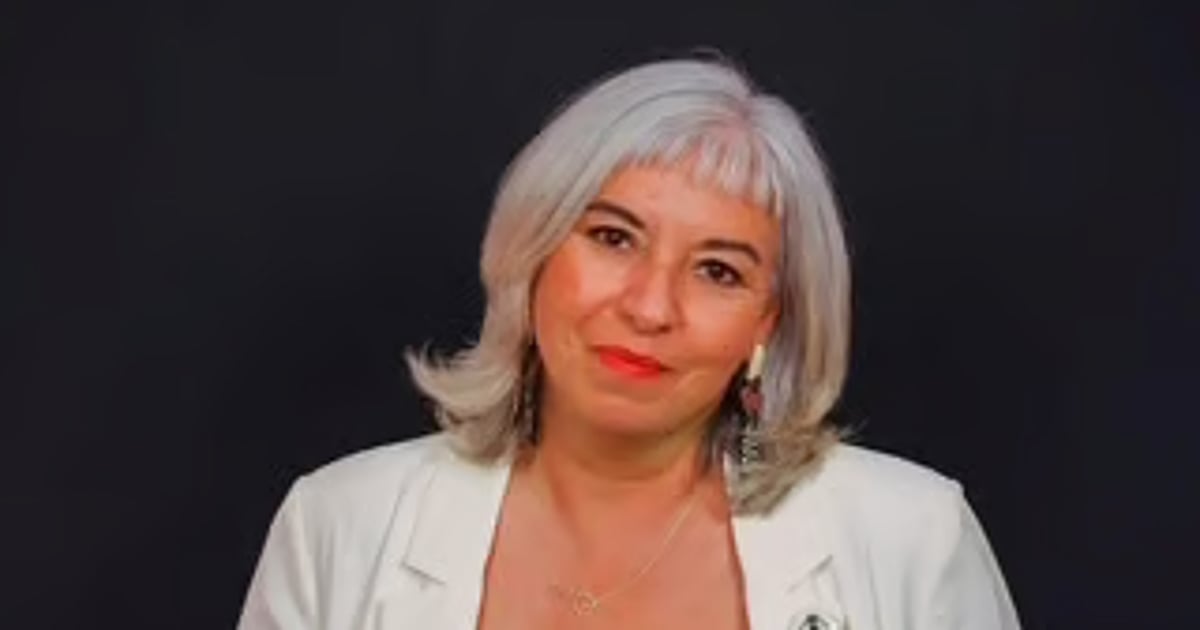 The challenges for Seguro - part I