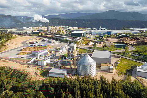 Sonae Arauco investiu 13 milhões para bater recorde na utilização de madeira reciclada

