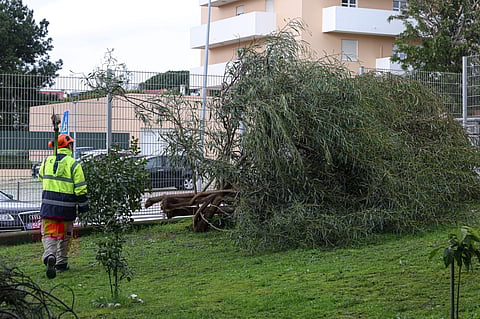 Prejuízos provocados pelo mau tempo “já totalizam 50 milhões de euros” em Setúbal