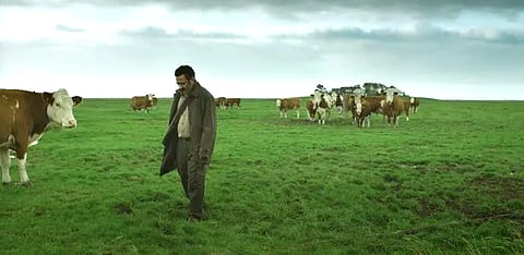 A paisagem como sinal de exílio.