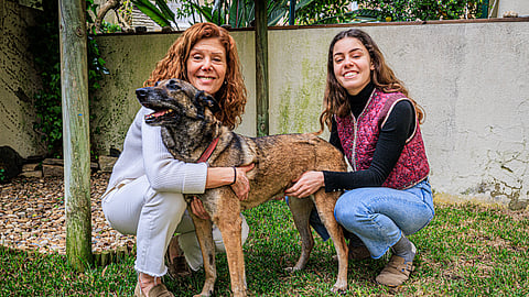 A Loba fazia parte da unidade de busca e salvamento da PSP e foi adotada por Ana Carla Almeida e Maria Mendes, mãe e filha criadoras do projeto Adota Cães Heróis.