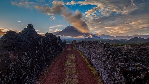 Os Açores serão a única região do país onde a vindima deste ano produzirá menos que a de 2025