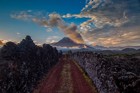 As vinhas do Pico obrigam a uma viticultura difícil e desafiante. Todos os processos são manuais e morosos