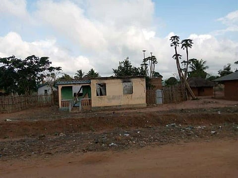 Eurodeputados do PSD questionam Comissão Europeia sobre apoio às operações de segurança em Cabo Delgado