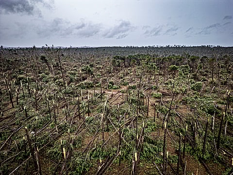 Região de Leiria “precisa urgentemente de apoio que ainda não chegou”