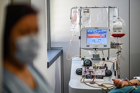 IPO do Porto faz cerca de 150 transplantes por ano.