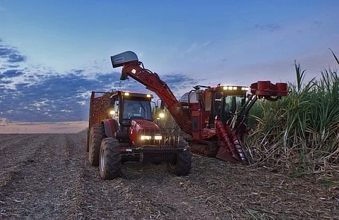 Entre os principais produtos, os cereais registaram um aumento de 1,5%.