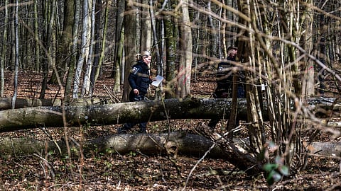 Três pessoas, entre os quais uma bebé de 10 meses, morreram atingidas por uma árvore na Alemanha  