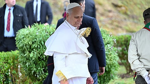 O papa com a mão suja após plantar uma oliveira em Hipona.