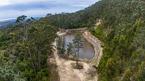 Zona onde irá nascer o agrupamento dos Guardiões da Floresta de Sintra
