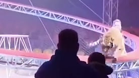 Tigre salta proteção e vai para junto dos espetadores na plateia do circo na Rússia (veja o vídeo)