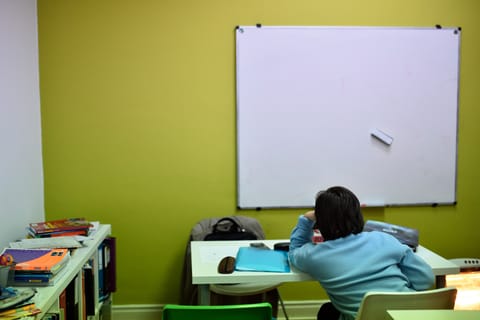 Mudanças nas Aprendizagens Essenciais estão a ser contestadas.
