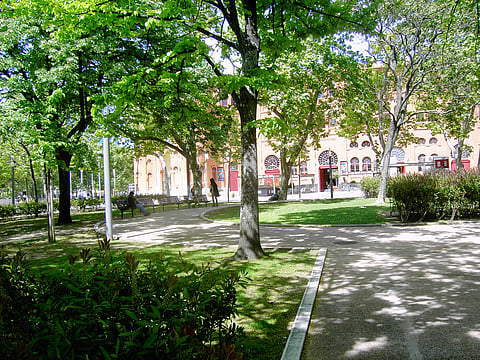 Santos populares nos Jardins do Campo Pequeno