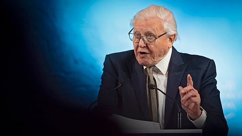 David Attenborough celebra 100 anos. Há mais de sete décadas a mostrar a vida selvagem 
