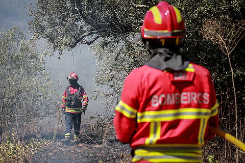 Investigadores esperam ano "particularmente severo" para incêndios florestais