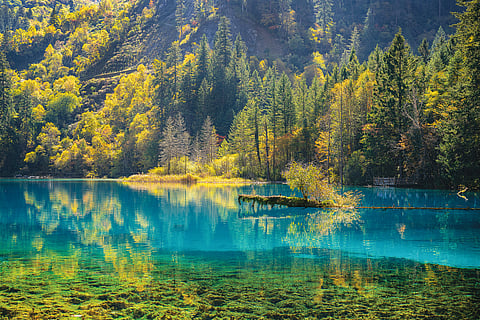 O emblemático “Lago das Cinco Flores”, em Jiuzhaigou.