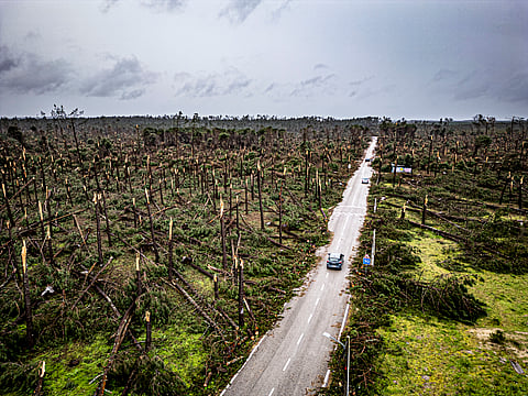 Portugal entra em dias críticos de calor e área ardida já é o dobro face a maio do ano passado