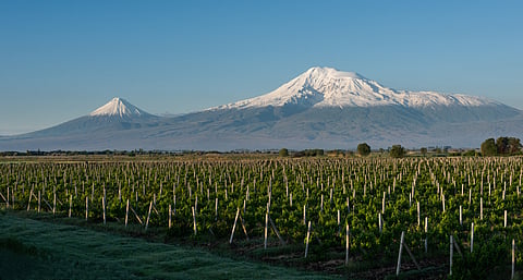Arménia: o país que tem a adega mais antiga do mundo ainda é um bebé na produção de vinho
