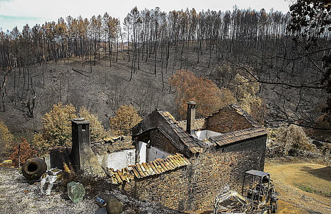Pedrógão Grande. Associação homenageia vítimas nove anos após incêndios