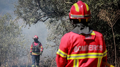 Semana de calor começa com oito concelhos em perigo máximo de incêndio