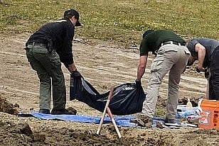 Investigação encontra pelo menos 117 cães em valas comuns, com vestígios de terem sido abatidos a tiro nos EUA