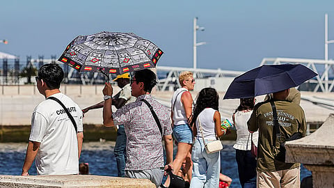 Máximas chegam aos 43 graus. Interior de Portugal continental em perigo máximo e muito elevado de incêndio