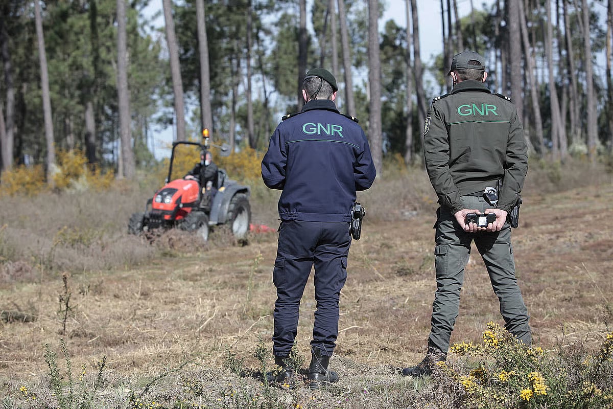 Incêndios. Prazo para limpar terrenos termina hoje e proprietários pedem “tolerância” às autoridades