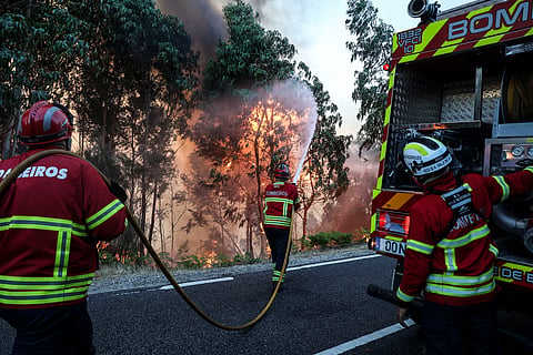 Os mais de 1300 bombeiros no terreno não puderam lutar contra a violência das chamas e do vento.