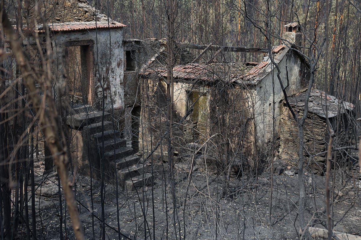 Wildfires: Vouzela pushes Portugal to European record for burnt area in 2026