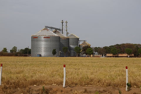 A revisão também leva em conta a safra agrícola brasileira,