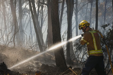 Doze mortos no incêndio florestal na região espanhola da Andaluzia