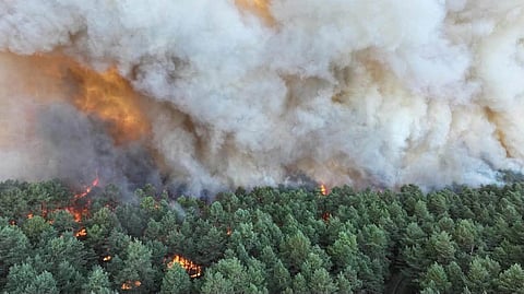 Incêndio em Fontainebleau, a sul de Paris, com "proporções excecionais"