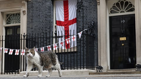Larry é uma estrela entre os jornalistas que se juntam em Downing Street.