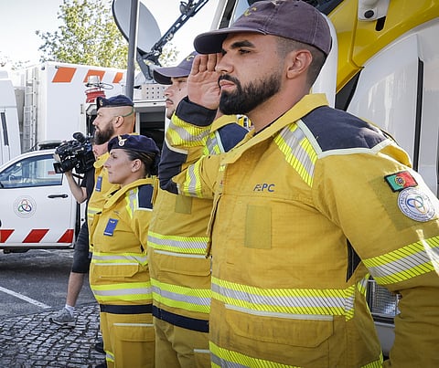 Pelo uso do fardamento amarelo, são conhecidos como "canarinhos”