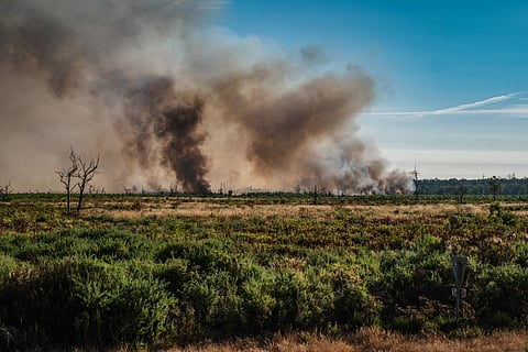 Incêndios florestais no sudoeste de França obrigam a retirar 110 mil pessoas 