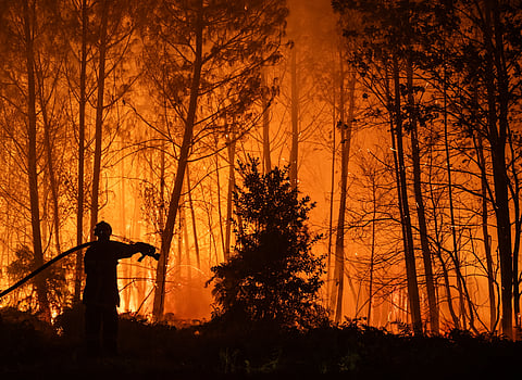Em seis meses arderam 53.731 hectares em Portugal. O segundo pior registo desde Pedrógão