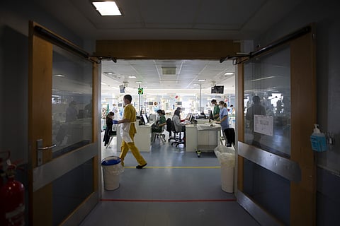 Portarida contém erros, alerta Ordem dos Médicos.