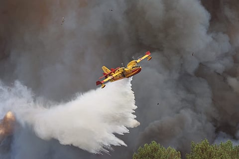Incêndios: Governo diz que “muitos portugueses” perderam casa e negócio em França