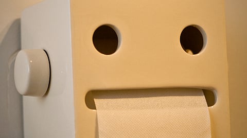 O setor do papel higiénico pode ter razões para sorrir.