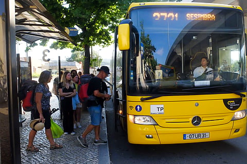 O transporte de bagagens, bicicletas ou animais em autocarros, comboios ou barcos fica sujeito às mesmas regras e sai da discricionaridade dos operadores.