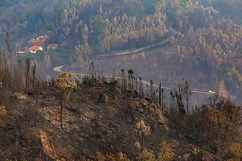 Até final de agosto, área ardida em Portugal cai 74% face ao ano passado