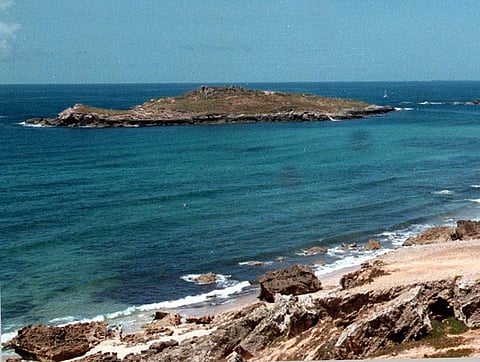 A zona da Ilha do Pessegueiro é uma das mais afetadas, segundo o investigador Joaquim Parrinha.