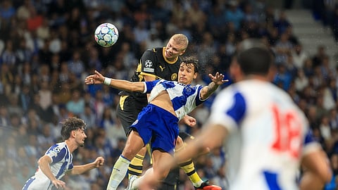 Haaland bisou no Dragão